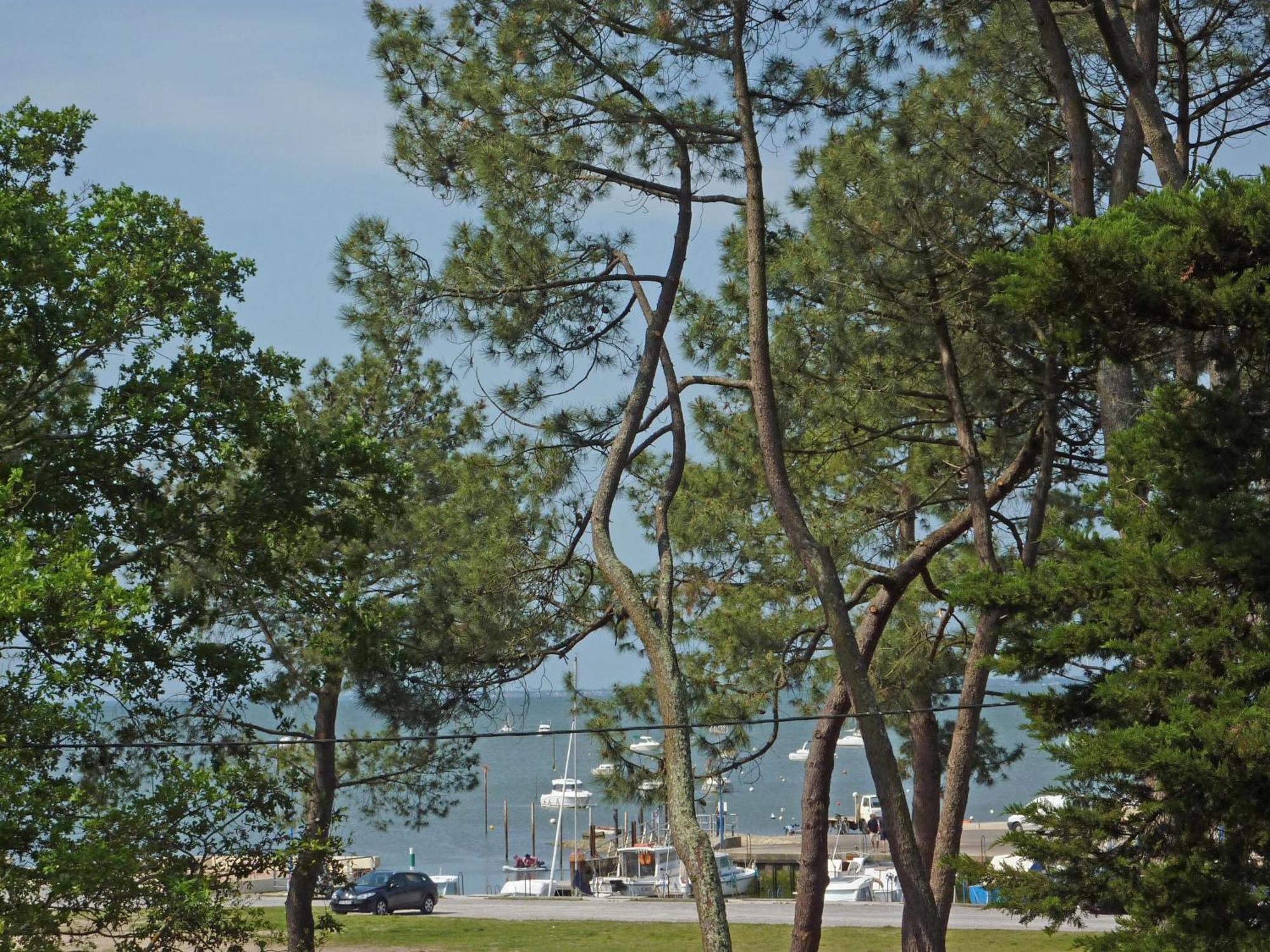 Appartement 2 Chambres Bassin D'Arcachon Front De Mer, Plage Du Betey 安德诺莱斯贝恩 外观 照片