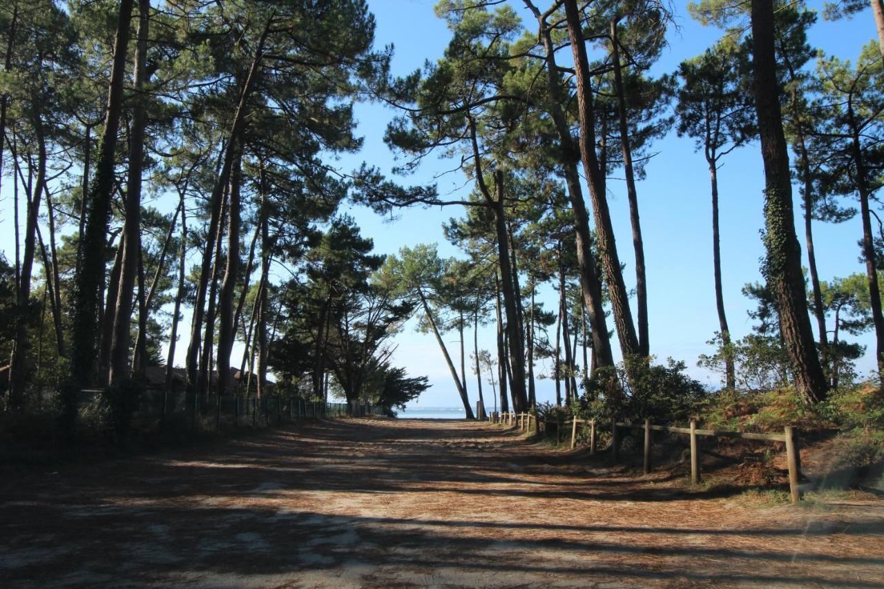 Appartement 2 Chambres Bassin D'Arcachon Front De Mer, Plage Du Betey 安德诺莱斯贝恩 外观 照片